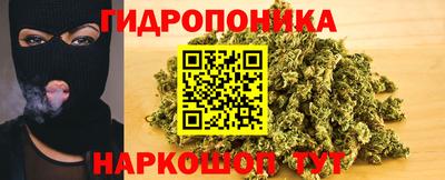 сатива Северобайкальск
